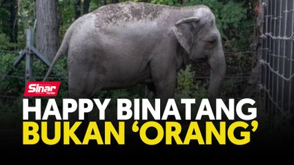 Happy binatang bukan ‘orang’