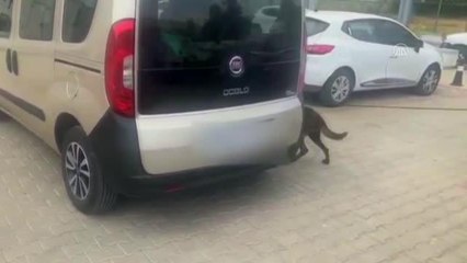 Aracında 37 kilogram esrar ele geçirilen sürücü tutuklandı