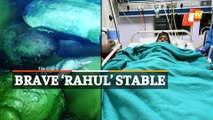 WATCH: Rahul Sahu Pulled Out Alive After 104-Hour Operation | Chhattisgarh Borewell Mishap