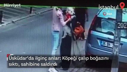Üsküdar’da ilginç anlar: Köpeği almaya çalıştı, sahibine saldırdı