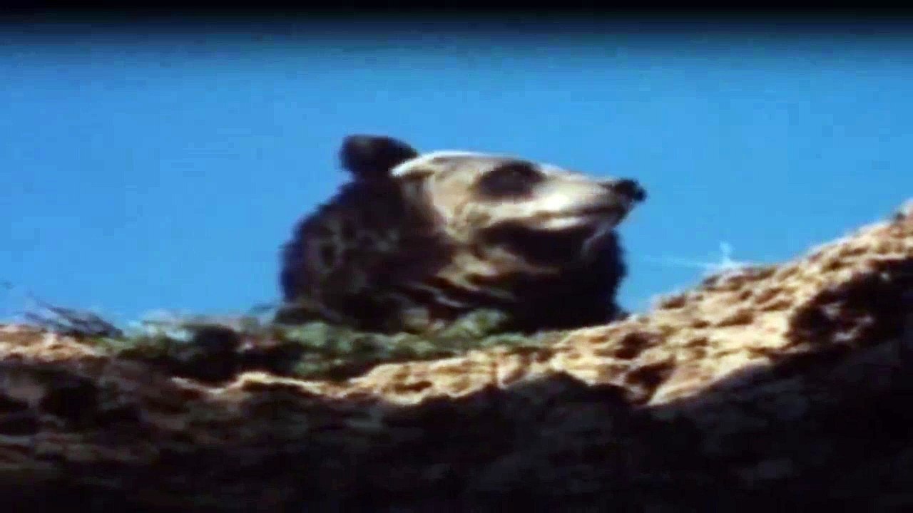 Der Mann in den Bergen Staffel 1 Folge 6 HD Deutsch