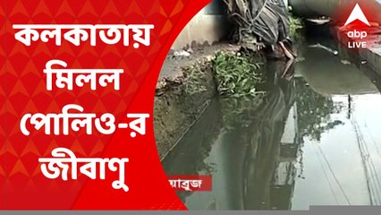 Polio virus: কলকাতায় নর্দমার জলের নমুনায় মিলল পোলিও-র জীবাণু। Bangla News