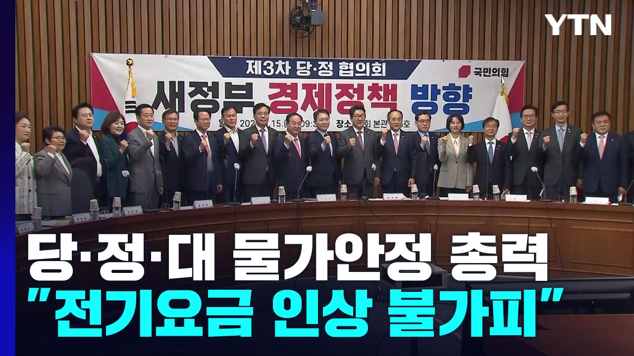 당·정·대, 물가 안정 '총력'..."전기요금 인상은 불가피" / YTN