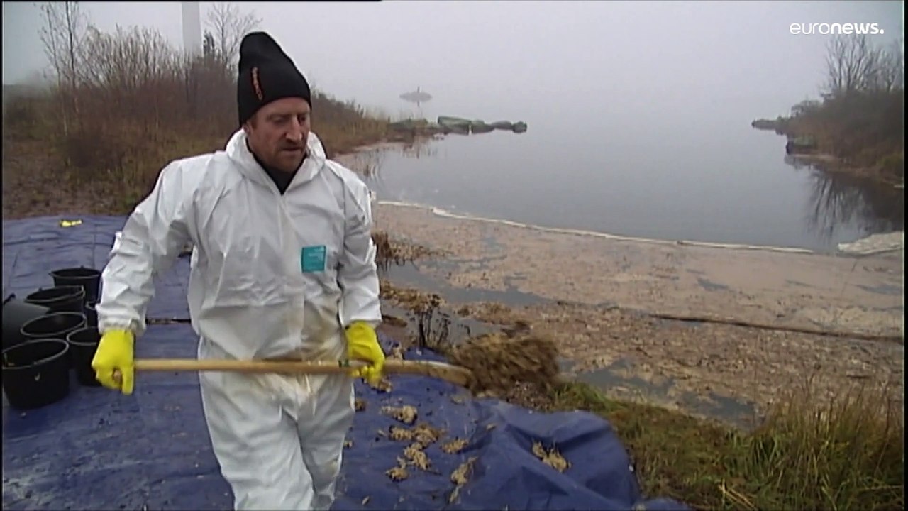 Bei dem Ölleck vor der Küste Schwedens handelt es sich um Kienöl