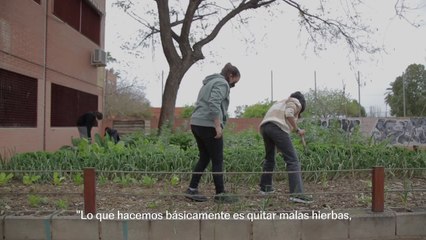 Los alumnos del colegio El Grau hablan sobre la experiencia