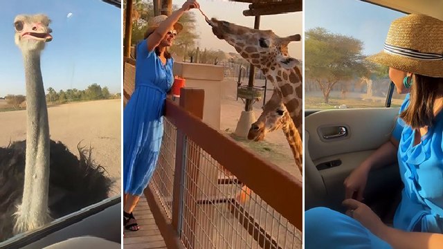 Hina Khan का Abu Dhabi Safari Wildlife Vacation Inside Video | Boldsky *Entertainment