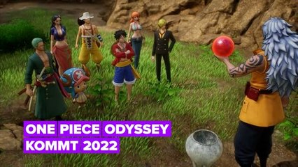 Ein Blick auf das neue Spiel der kultigsten Piratenserie: One Piece