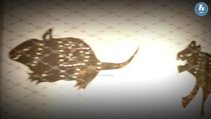 FEMME ACTUELLE - Horoscope chinois du jour du vendredi 24 juin 2022, le Singe de Terre