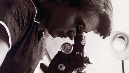 Ces scientifiques qui ont été victimes de l'effet Matilda