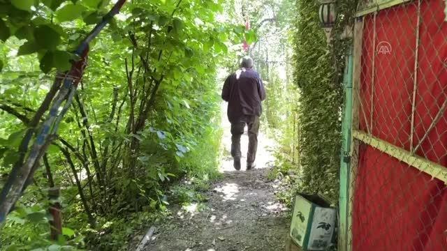 Çorumlu çiftçi bahçesinde bulduğu maden suyunu ekonomiye kazandırmak istiyor