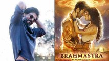 Shah Rukh Khan को Brahmastra के Trailer में लोगों ने ढूंढा, ट्रेलर के बाद होने लगी चर्चा*Bollywood