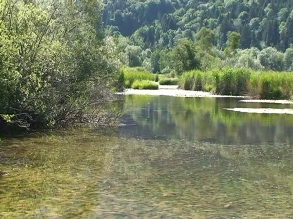 Tourbières de l'Hérétang - St Laurent du Pont 38380 Chartreuse
