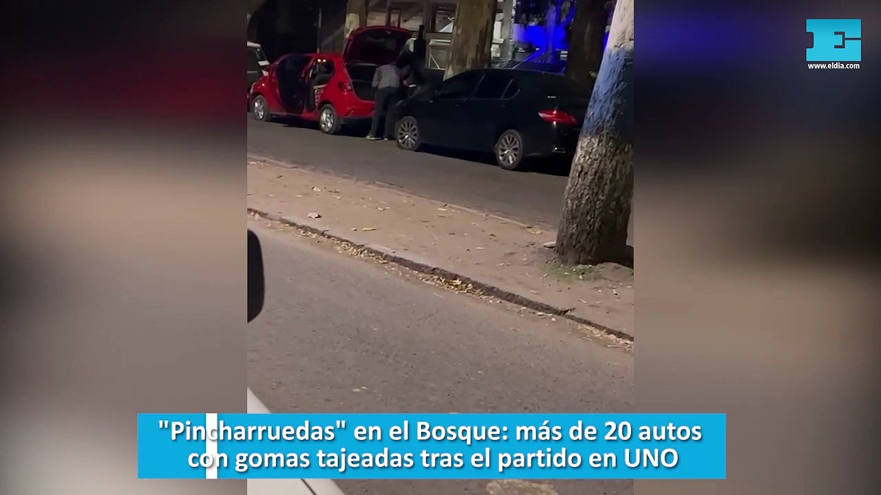Pincharruedas en el Bosque