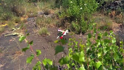 Mascalucia, una bambola, dei fiori e un biglietto per ricordare la piccola Elena