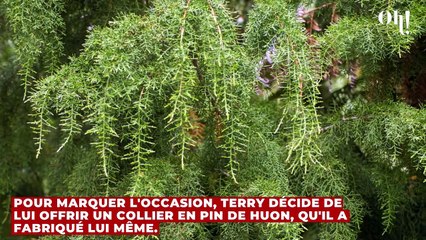 Deux ans plus tard, elle se rend compte que son collier contient quelque chose