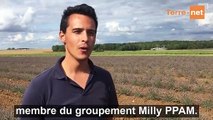 Dans le Gâtinais français, des plantes à parfum pour limiter les risques sur son exploitation