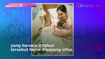 Gegara Ini, Anak Shandy Aulia Dilarikan ke Rumah Sakit