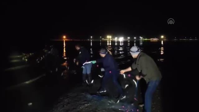 620 kilogram kaçak avlanılan inci kefali ele geçirildi