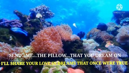 Send Me The Pillow (Karaoke Lagu Dansa)  #Johnny Tillotson