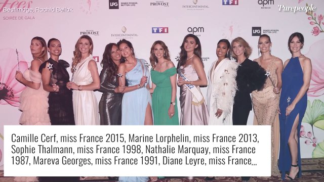 Marine Lorphelin en robe transparente, Delphine Wespiser décolletée : les  Miss France sortent le grand jeu ! - Vidéo Dailymotion