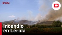 El incendio de vegetación en Artesa de Segre afecta a 50 hectáreas