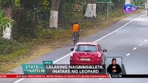 Lalaking nagbibisikleta, inatake ng leopard | SONA