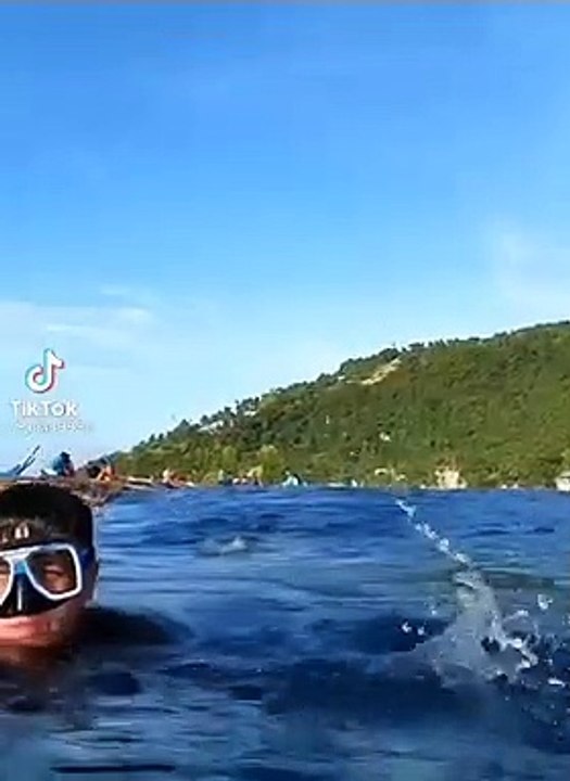 Un plongeur a une grande surprise en repartant sous l'eau