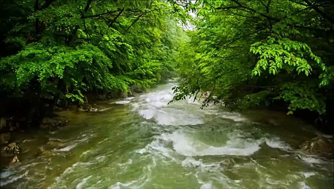 RIVER