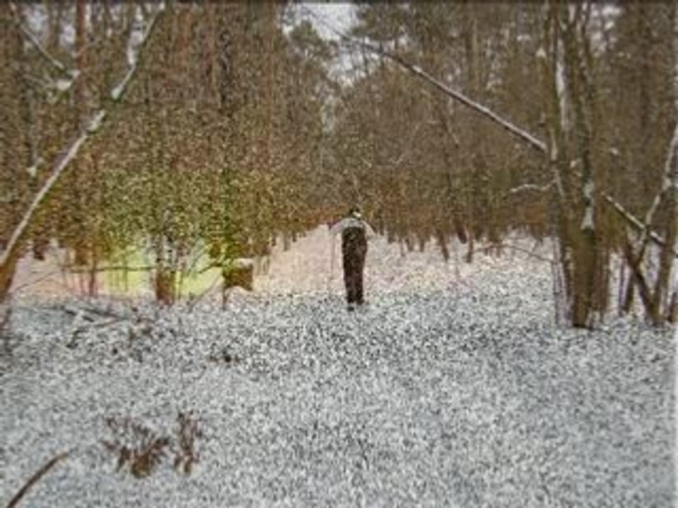 Make Money Working At Home Creating Info Products: Part 11