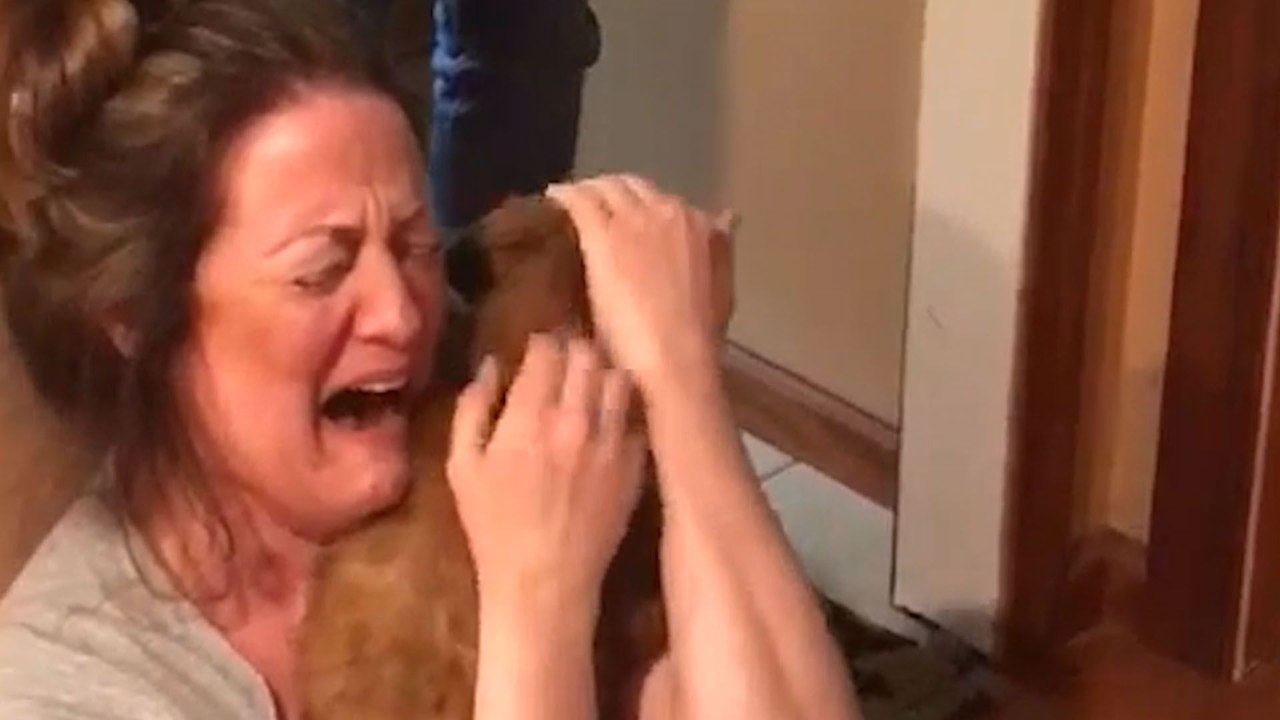 Puppy Surprises Are The Best