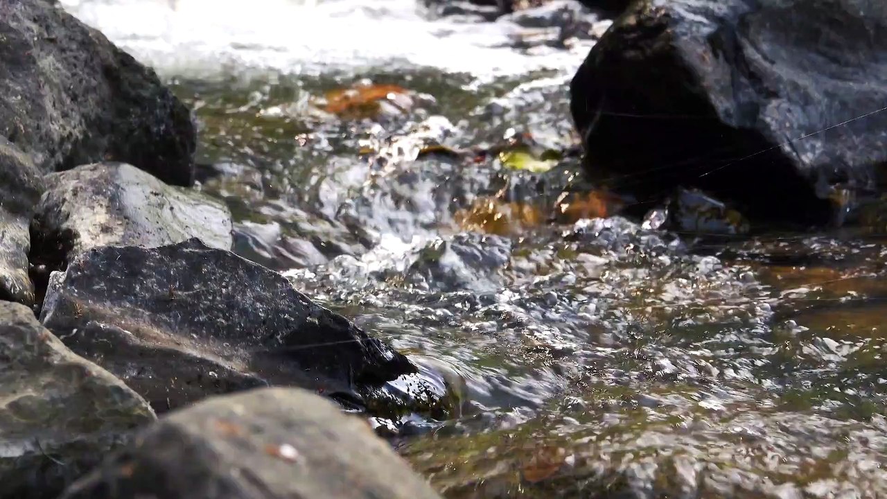 river natural