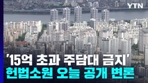 '15억 초과 주담대 금지' 헌법소원 오늘 공개변론...쟁점은? / YTN