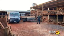 Polícia Federal deflagra operação em madeireira de João Pessoa suspeita de tráfico de madeiras oriundas do Pará
