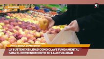 La sustentabilidad como clave fundamental para el emprendimiento en la actualidad