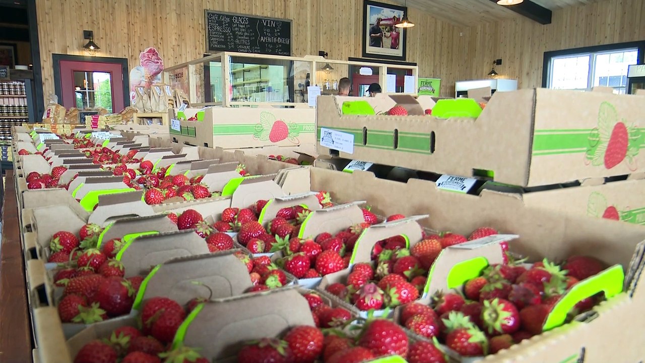 Inflation  : Les producteurs agricoles s’inquiètent