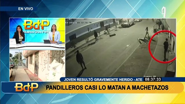 Ate: Pandilleros casi matan a joven a machetazos