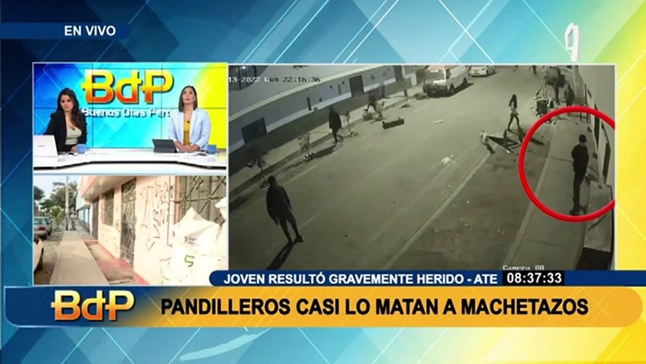 Ate: Pandilleros casi matan a joven a machetazos