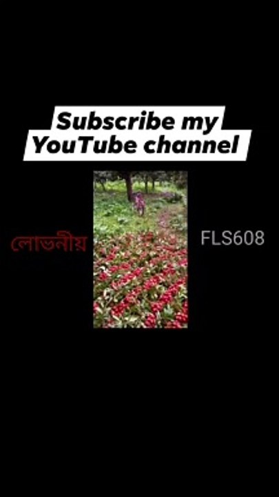 VID_1655228095015