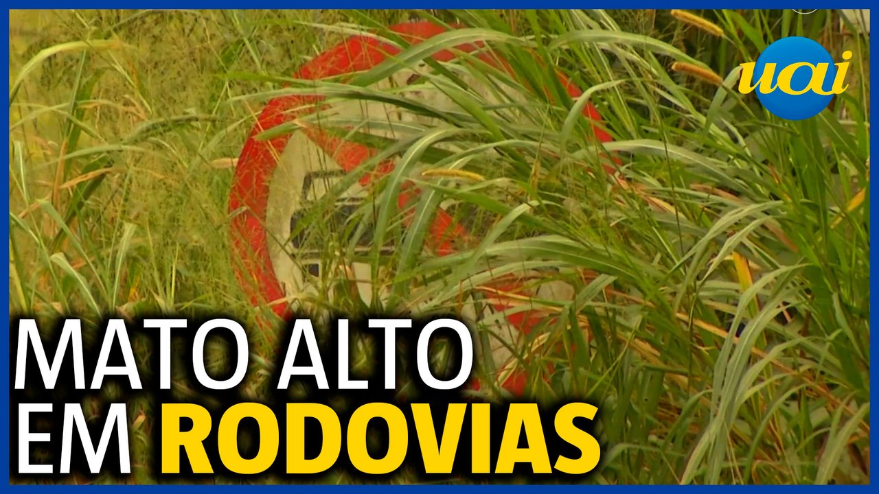 Motoristas sofrem com estradas mal conservadas em Minas