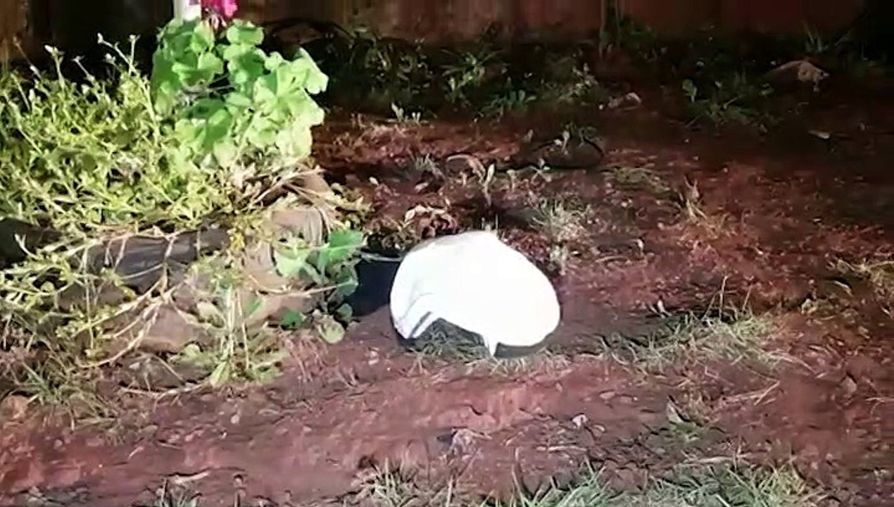 Tenente do Corpo de Bombeiros fala sobre o estado de saúde de jovem de 21 anos após grave colisão