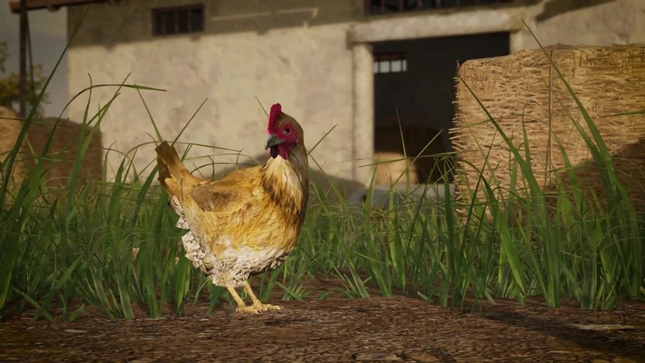 PUBG - Neues Video zeigt alle Änderungen von Update 14.2 ... und ein Huhn