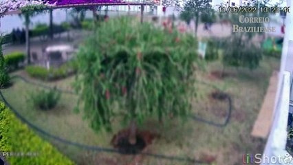 Pai denuncia que filho levou tapa de lutador de jiu-jitsu em condomínio