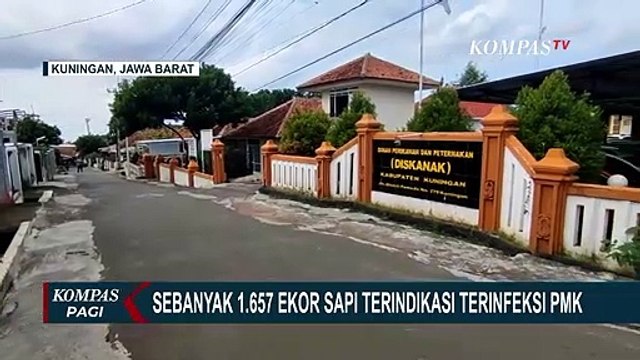 Wabah PMK Hewan Ternak Meluas, Pemerintah Mulai Distribusikan 10.000 Vaksin PMK ke Jatim