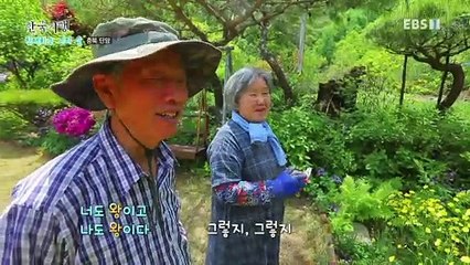 한국기행 - Korea travel_친애하는 나의 숲 3부- 우리는 왕이로소이다_#001