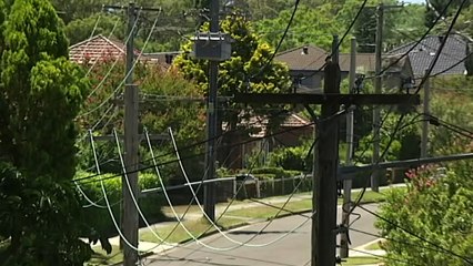 After days of chaos in the East-coast energy market -- Australia’s regulator has stepped in to ensure supply.