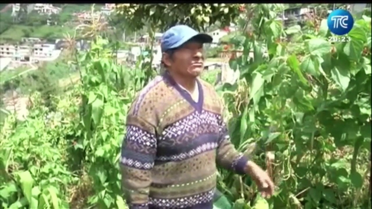 Quito Profundo: Mal estado de un puente es una amenaza para moradores