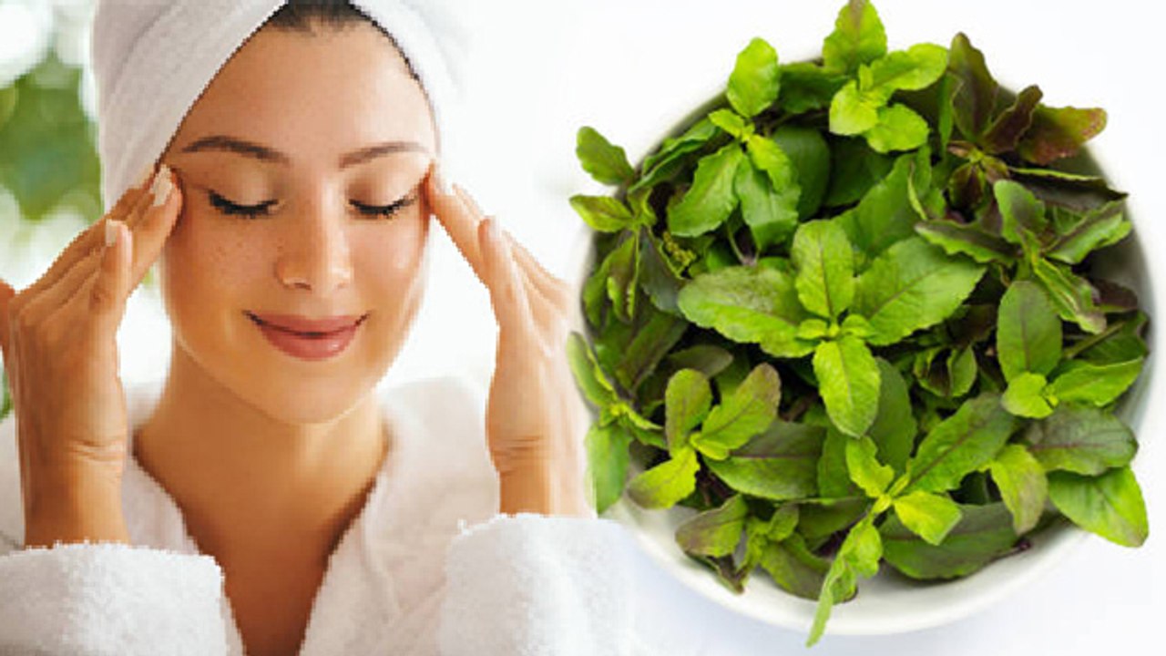 खाली पेट तुलसी खाने से क्या होता है | खाली पेट तुलसी खाने के फायदे |Boldsky *Health