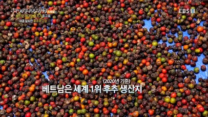 세계테마기행 - 베트남 제대로 즐기기- 반전 있는 시간 여행_#003