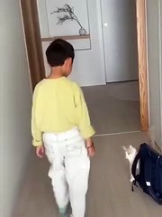 Este niño Juega a las escondidas con un gato-EstoesLoco!