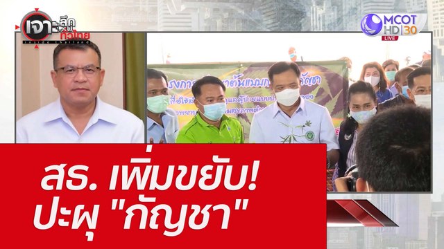 สธ. เพิ่มขยับ! ปะผุ กัญชา : เจาะลึกทั่วไทย (16 มิ.ย. 65)